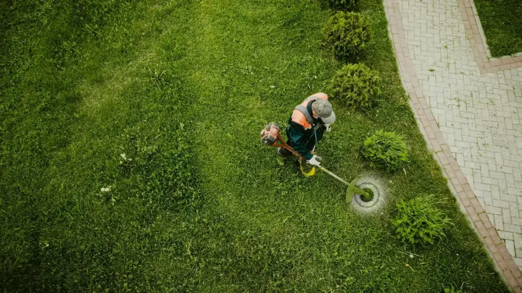 Débroussaillage professionnel des abords d’un jardin dans le Puy-de-Dôme