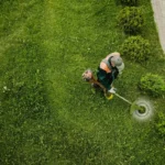 Débroussaillage professionnel des abords d’un jardin dans le Puy-de-Dôme