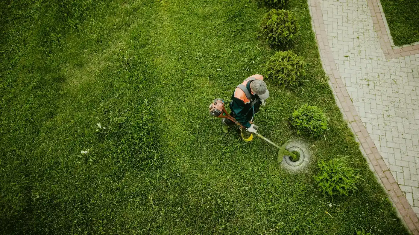 Débroussaillage professionnel des abords d’un jardin dans le Puy-de-Dôme