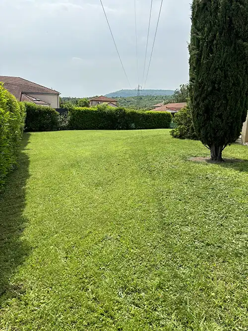 Tonte-gazon-aubiere-dtr-paysage