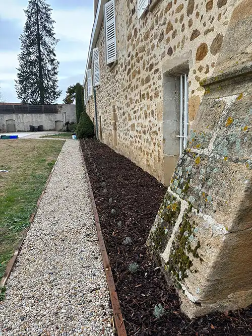 plantation-rosiers-murol-2024-dtr-paysage