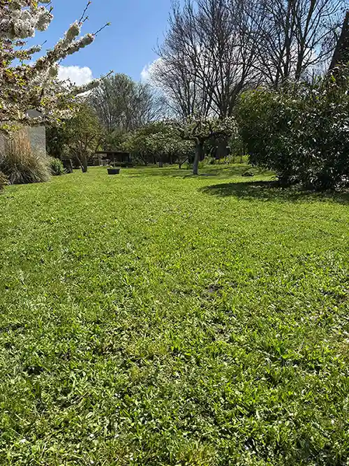 tonte d'un jardin à le Crest en avril 2025 par dtr-paysage