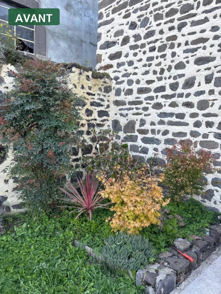 Massif de jardin avant réaménagement par DTR Paysage dans le Puy-de-Dôme