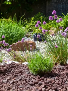 Massif paysager fleuri avec paillage minéral