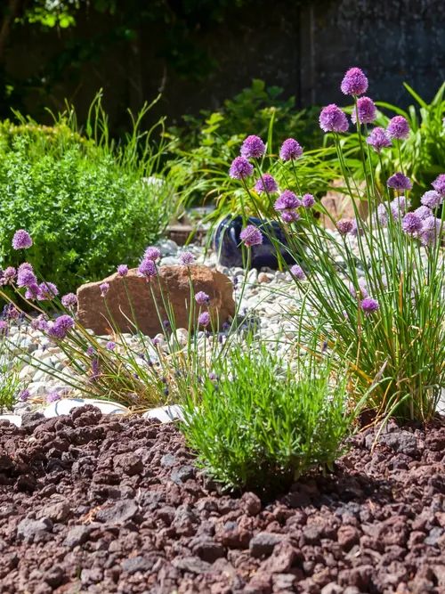 Massif paysager fleuri avec paillage minéral