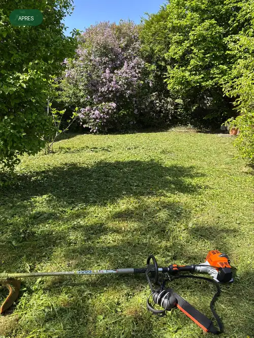 Jardin dégagé après débroussaillage par DTR Paysage