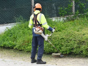 Débroussaillage d’un espace vert dans le Puy-de-Dôme