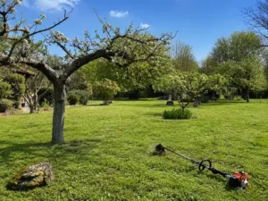 Débroussaillage d’un jardin arboré dans le Puy-de-Dôme