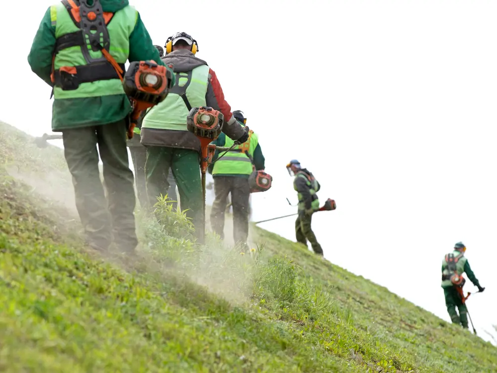 Débroussaillage d’un terrain en pente dans le Puy-de-Dôme