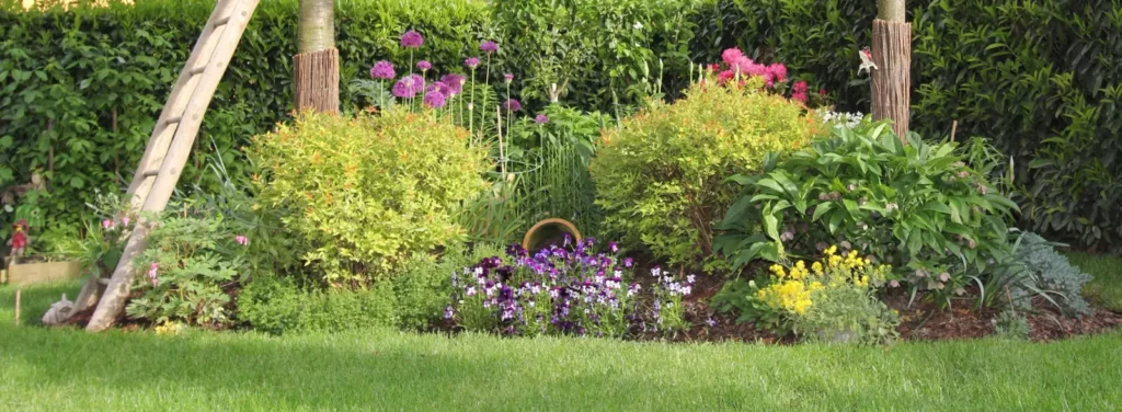 Massif paysager fleuri et entretenu dans le Puy-de-Dôme