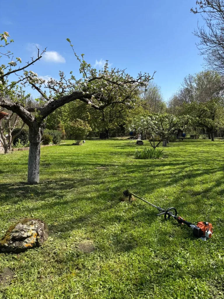 Entretien et tonte d'un grand jardin avec arbres par DTR Paysage dans le Puy-de-Dôme