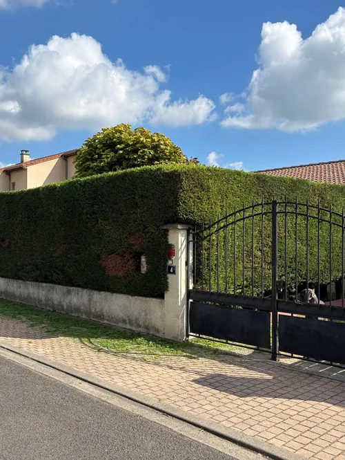 Haie taillée en limite de propriété dans le Puy-de-Dôme