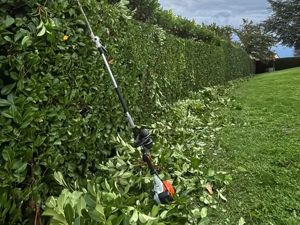 Reprise d’une haie volumineuse avec taille des branches dans le Puy-de-Dôme