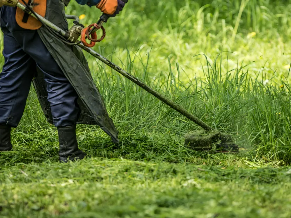 Débroussaillage d’une zone envahie par les herbes hautes dans le Puy-de-Dôme