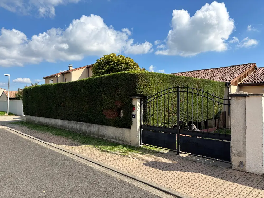 Haie entretenue et taillée régulièrement dans un jardin du Puy-de-Dôme