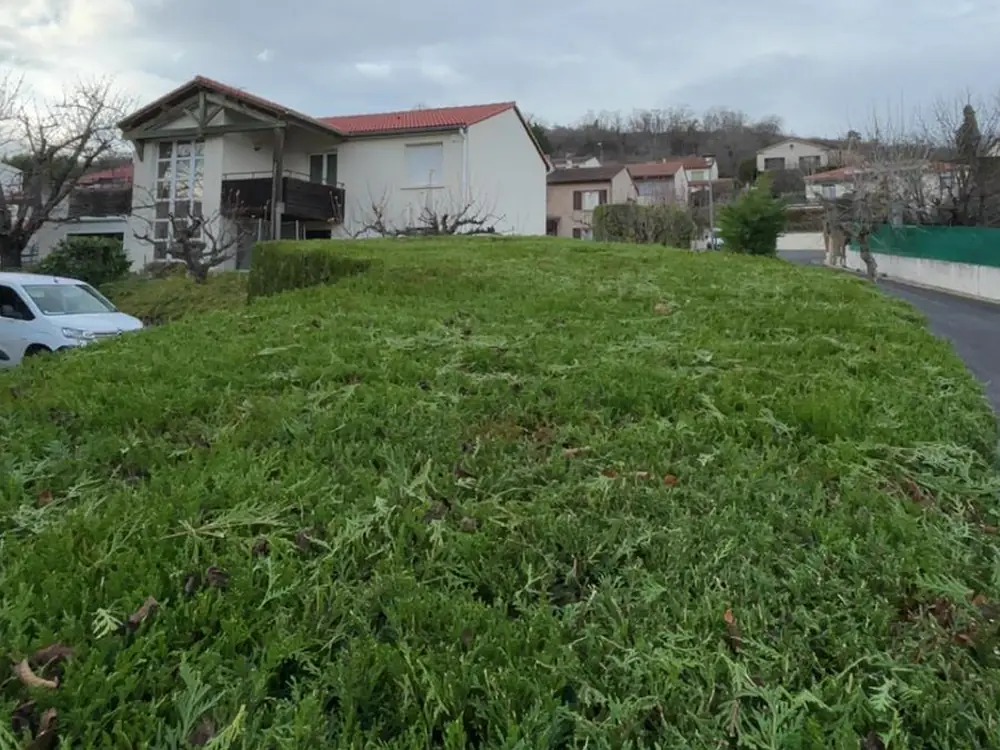 Haie entretenue et taillée régulièrement dans un jardin du Puy-de-Dôme