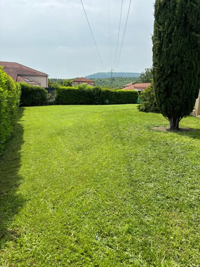 Pelouse tondue dans un jardin entretenu par DTR Paysage dans le Puy-de-Dôme
