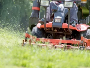 Tonte professionnelle d’une pelouse dans le Puy-de-Dôme+