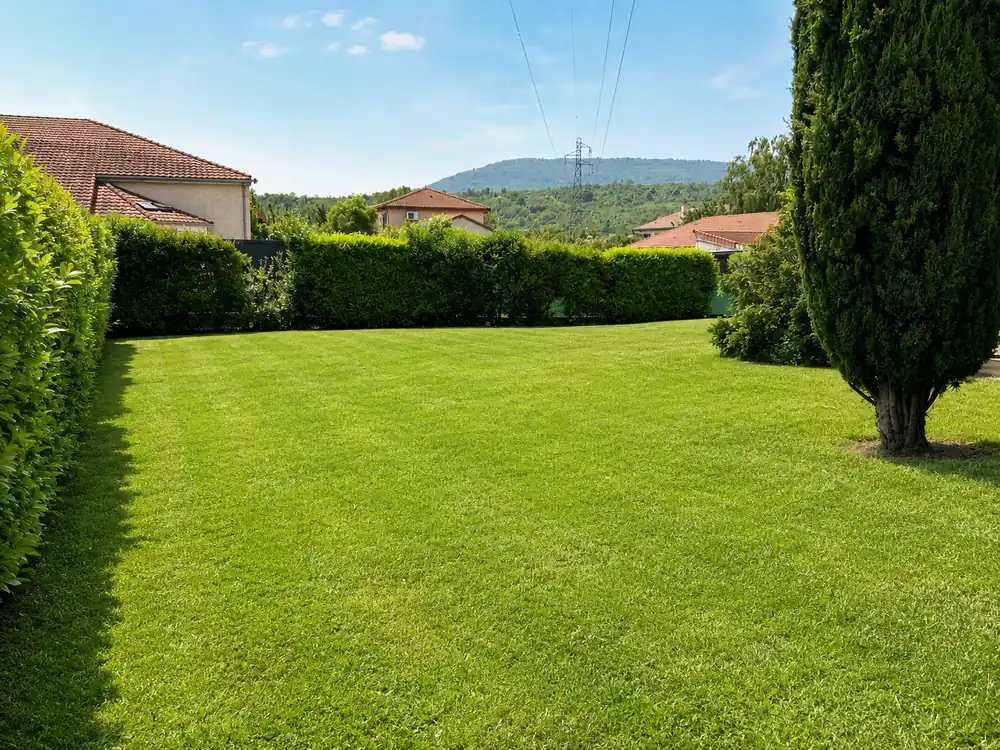 Pelouse fraîchement tondue dans un jardin du Puy-de-Dôme