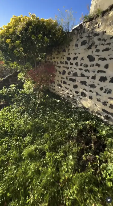 Zone végétalisée avant création d’un massif minéral à Châteaugay