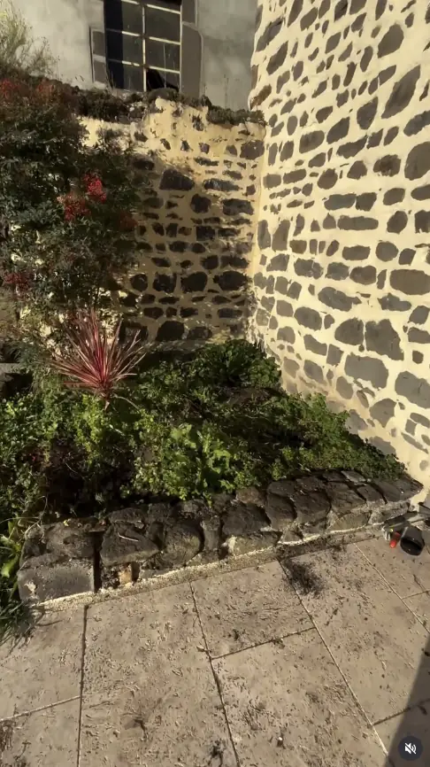 Massif végétalisé avant réaménagement dans un jardin à Châteaugay
