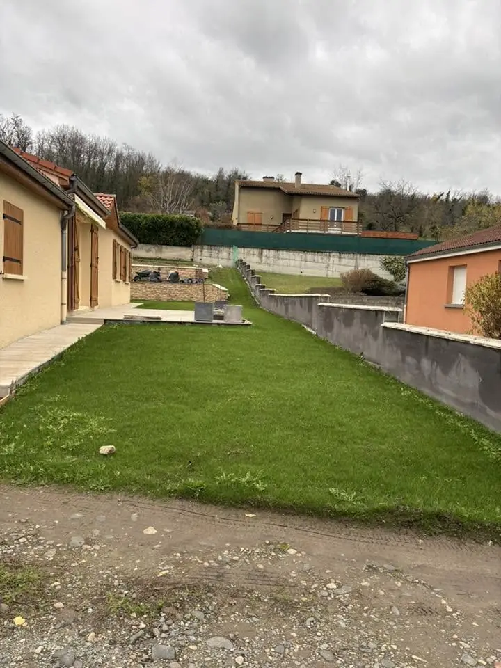 Gazon environ deux mois après le semis aux Martres-de-Veyre