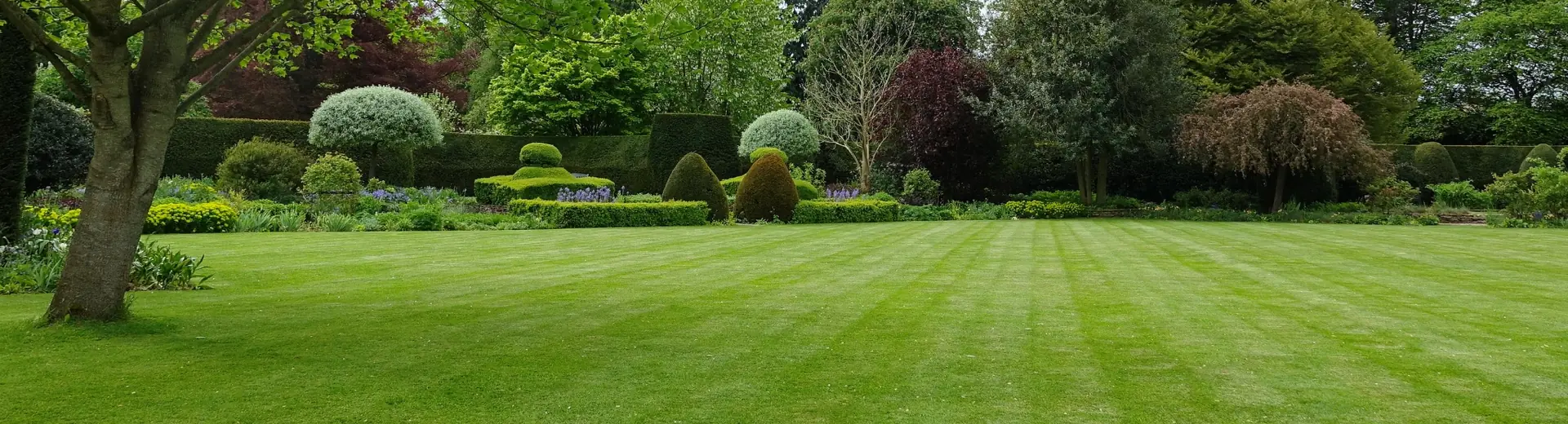 Pelouse tondue dans un jardin du Puy-de-Dôme