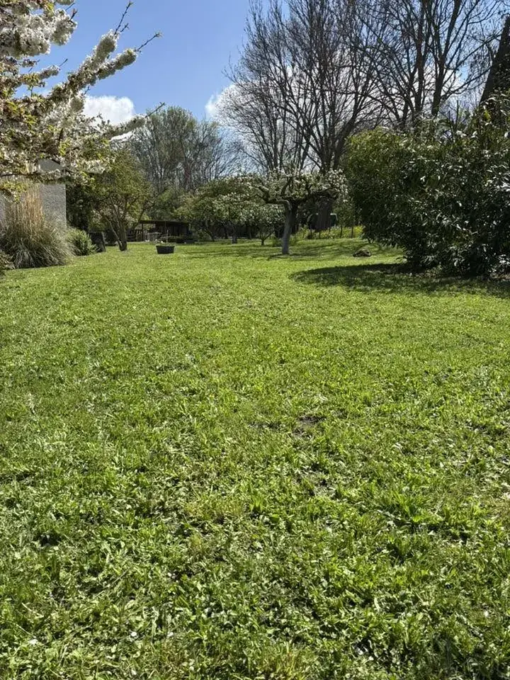 Pelouse après tonte dans un jardin arboré à Saint-Sandoux
