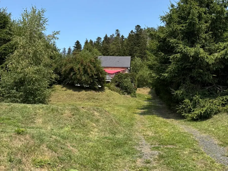 Jardin arboré après entretien régulier à Aydat