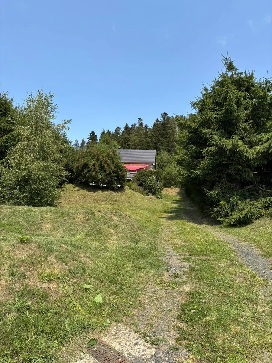 Entretien régulier d'une propriété arborée de 1 200 m² à Aydat