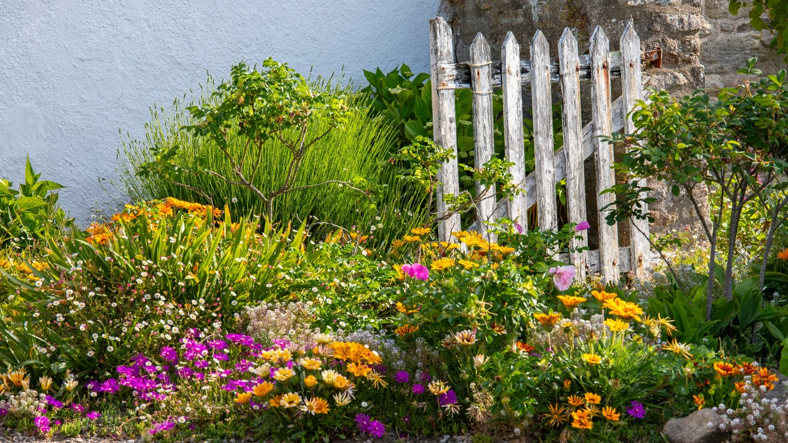 Jardin fleuri entretenu dans le Puy-de-Dôme