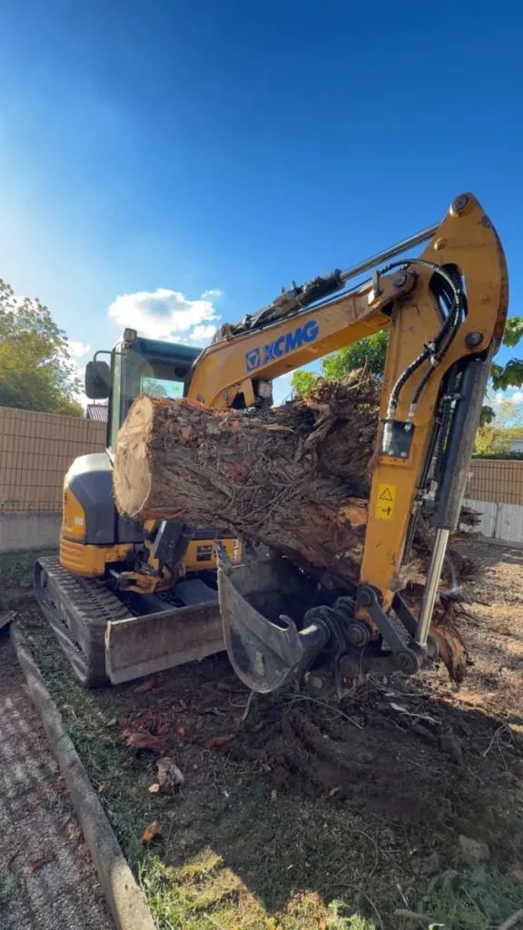 Extraction mécanique d’une souche d’arbre à Romagnat