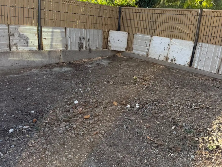 Terrain dégagé après dessouchage d’un arbre à Romagnat