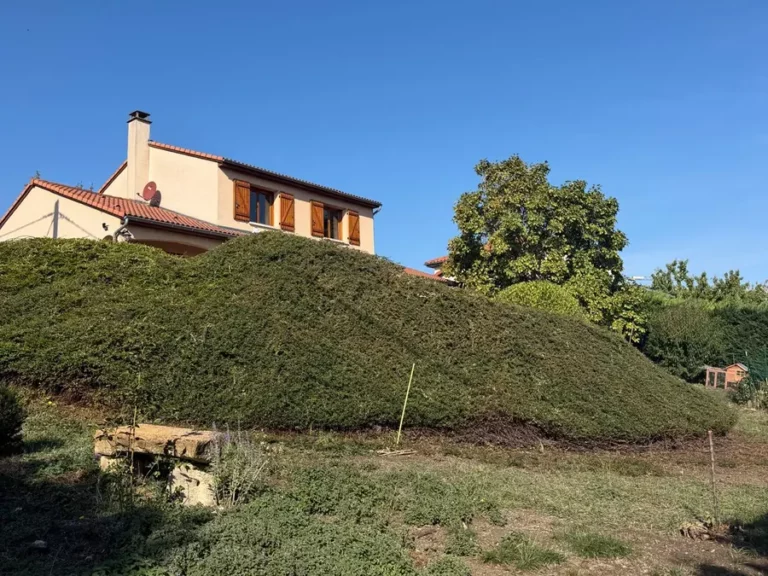 Taille d’arbustes sur talus à Issoire